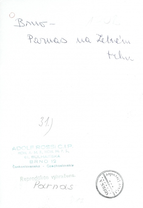 Parnas na Zelném trhu