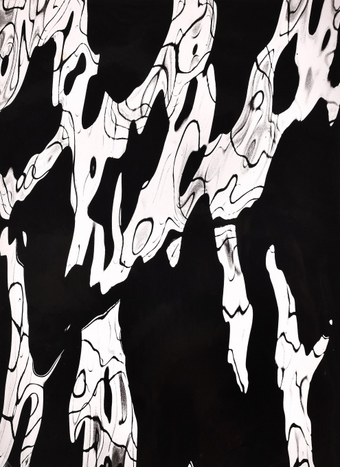 Rytmy IV, z cyklu Živly