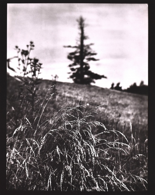 Z cyklu Procházky, Procházka po Mionší