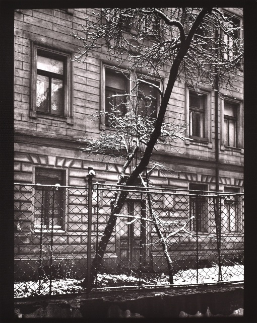 Z cyklu Procházky, Na našem dvoře