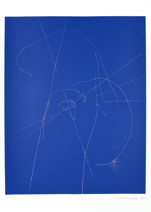 Dodauský biliár, Album, 10 ks