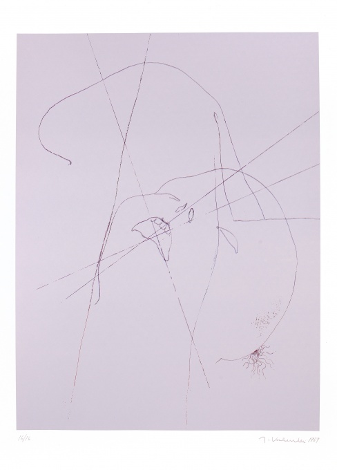 Dodauský biliár, Album, 10 ks