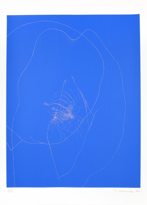 Dodauský biliár, Album, 10 ks