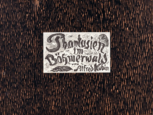 Phantasien im Böhmerwald