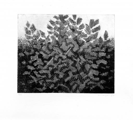 Variace na téma strom III.