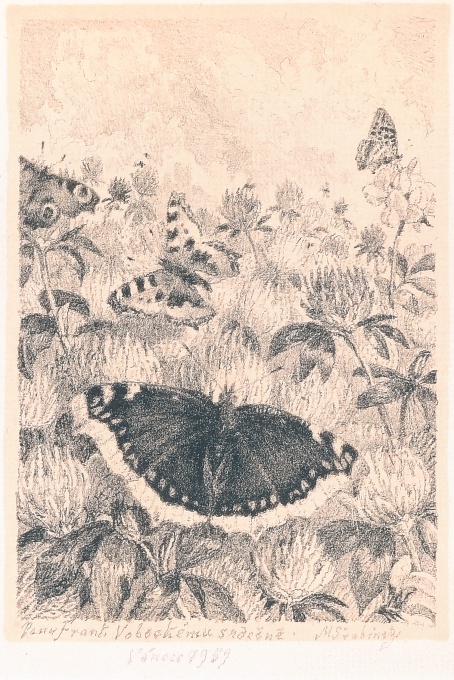 Kvetoucí louka plná motýlů