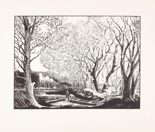 Pramice v rybářském revíru