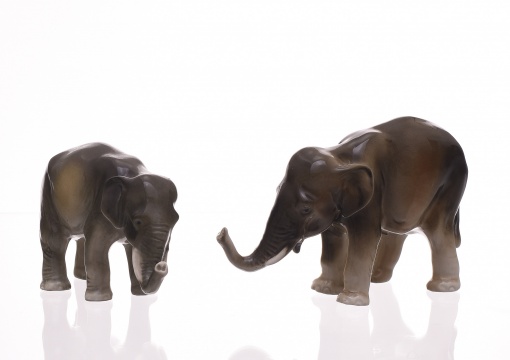 Slon, 2 ks