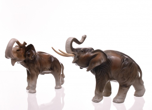 Slon, 2 ks