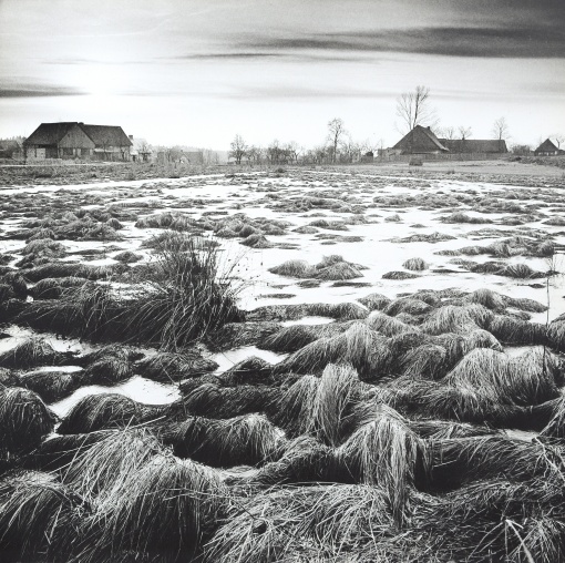 Zimní krajina