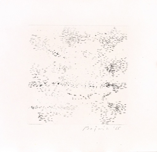 Mlhovina