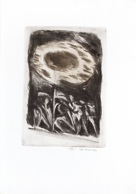 Opilý Koráb, 5 ks
