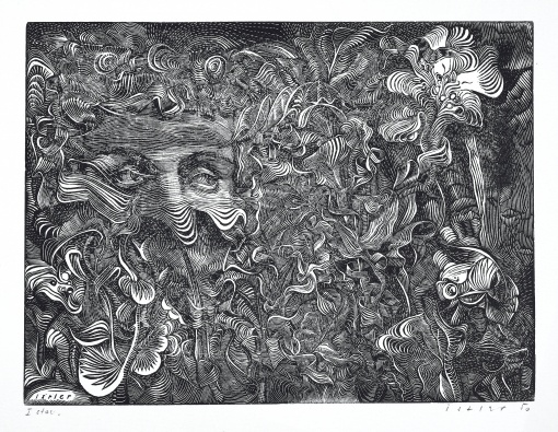 Pozorující přírodu