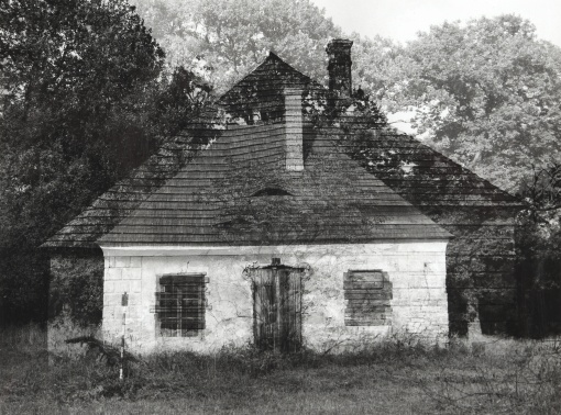 Bez názvu