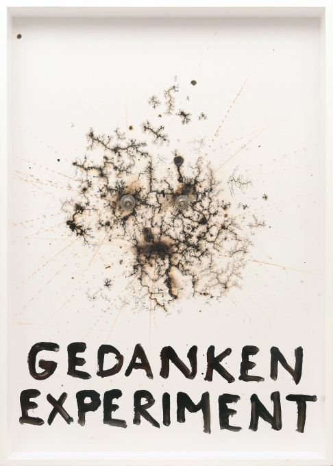 Myšlenkový experiment