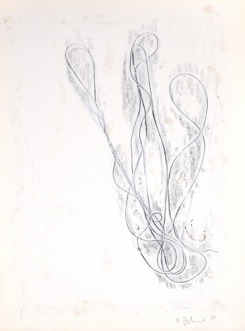 Lea