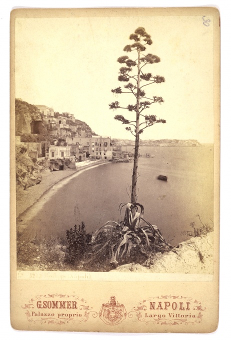 Napoli, Largo Vittoria