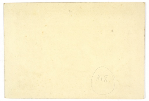 Rathaus, Wien