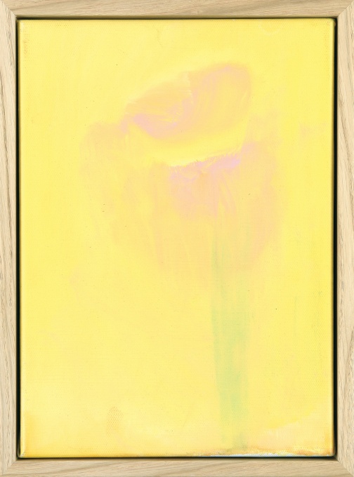Bez názvu (172)