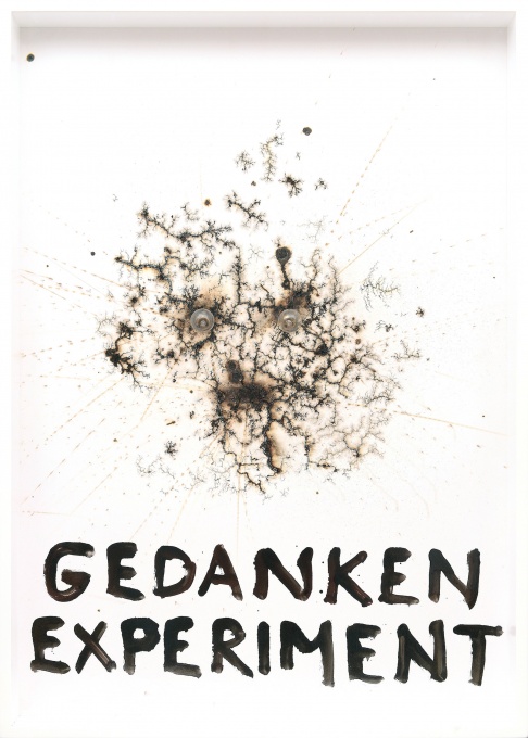 Myšlenkový experiment