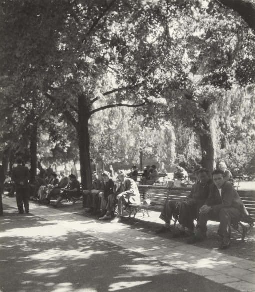 Kampa