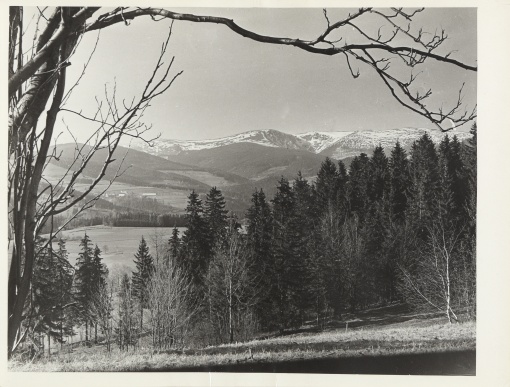 Krkonoše