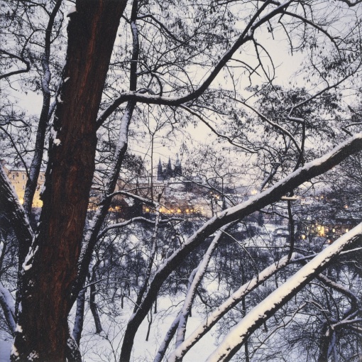Praha od Kampy
