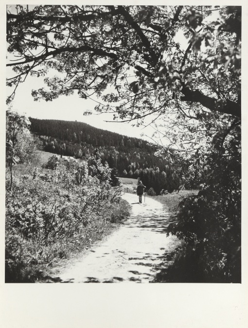Krkonoše