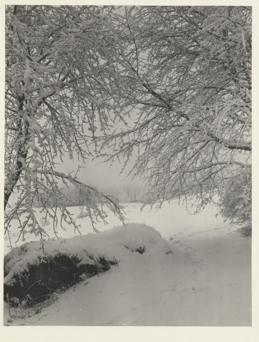Krkonoše