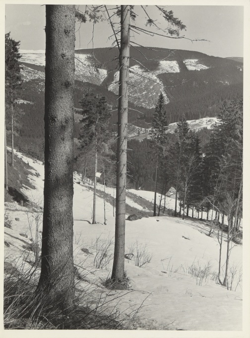 Krkonoše