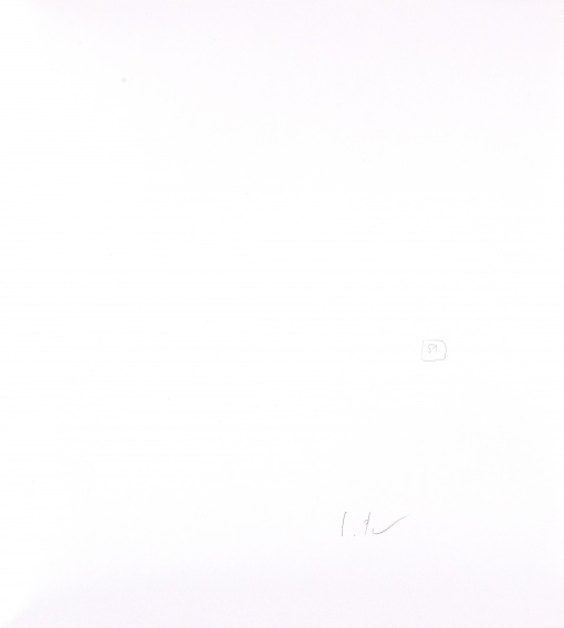 Kapradí