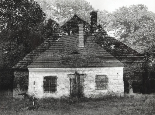 Bez názvu