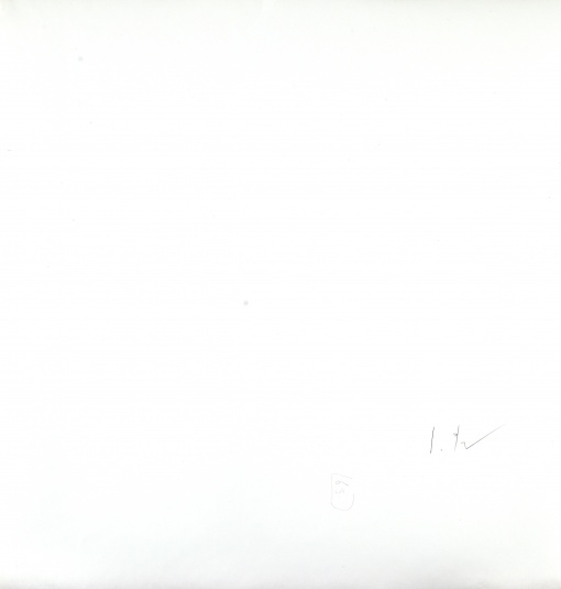 Příroda