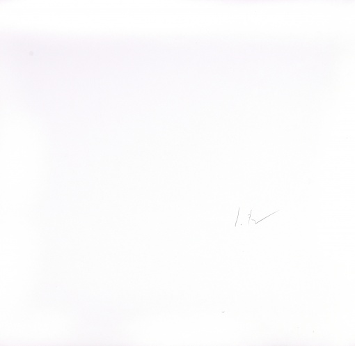 Růst
