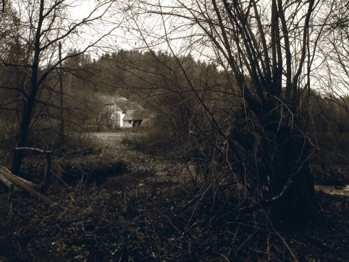 Vletice