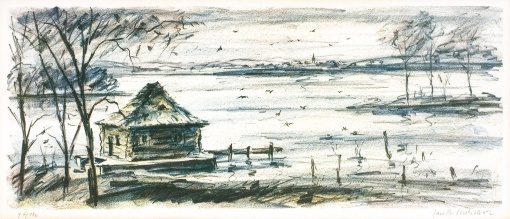Horusický rybník