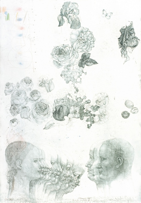 Vanitas VII.
