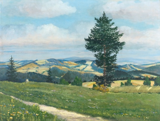 Horská krajina