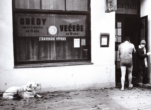 Restaurace na Žofíně