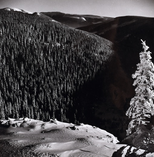 Krkonoše