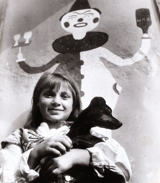 Cirkus Dolfini