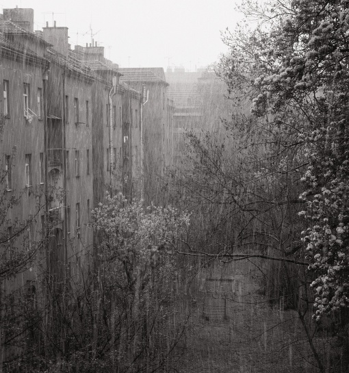 Pohled do dvora