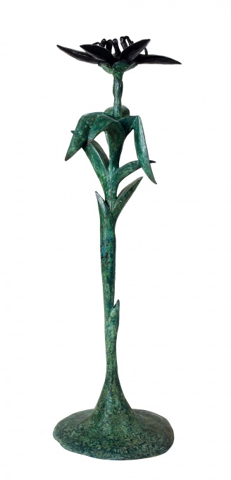 Rostlina