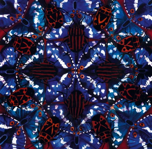 Mimikry – efekt
