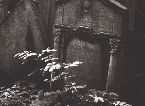 Židovský hřbitov