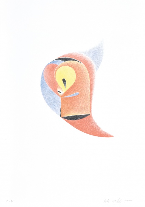 Papoušek se žlutým okem