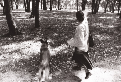 Bois de Boulogne
