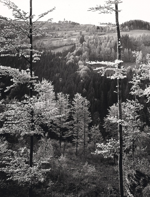 Krkonoše