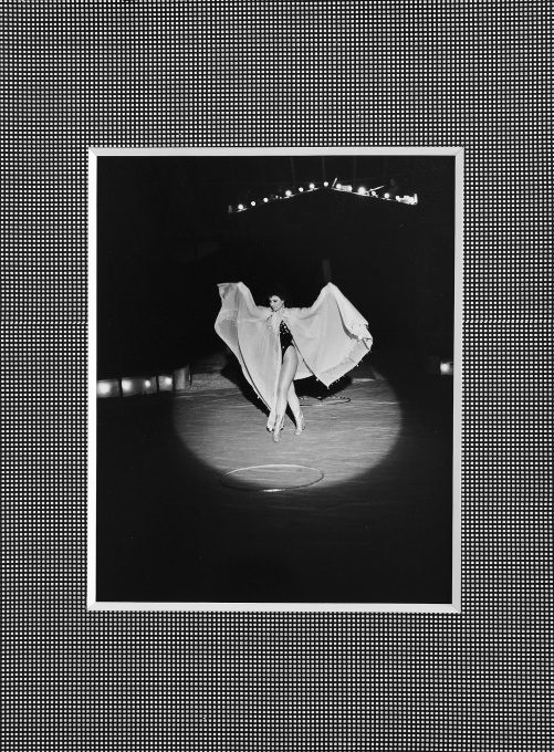 Cirkus Humberto