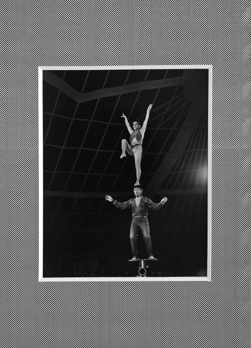 Cirkus Humberto
